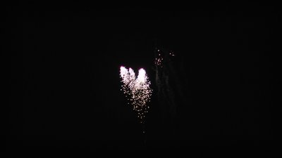 #9555 Roman Candles 1.85" 8 shots