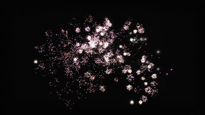 #9494 Compact 1.2 25 coups