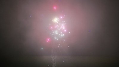 #13233 盆花1.2 30发数