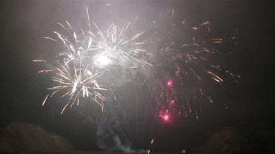 #13234 盆花1.2 30发数