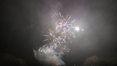 #13235 盆花1.2 72发数