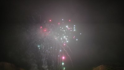 #13236 盆花1.2 100发数