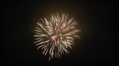 #13237 盆花3.0 9发数