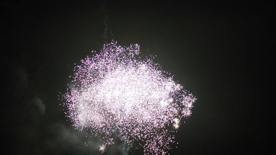 #13292 Compact 0.8 36 coups