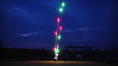 #13981 Cakes 0.4 96 shots