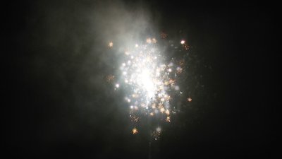 #13983 盆花1.0 16发数