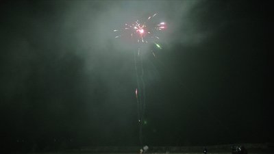 #13982 Cakes 0.7 10 shots