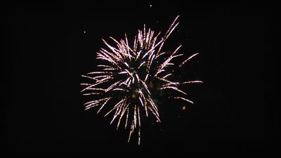 #13308 Compact 1.0 25 coups