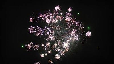 #13307 Compact 1.0 25 coups