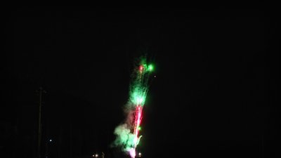 #13981 Cakes 0.4 96 shots