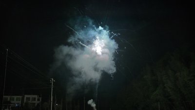 #13982 Cakes 0.7 10 shots