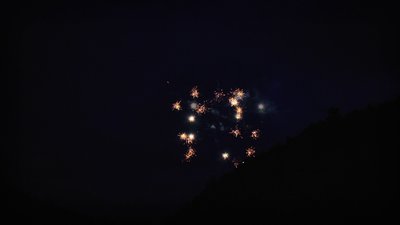 #14268 Module 盆花0.6 16发数