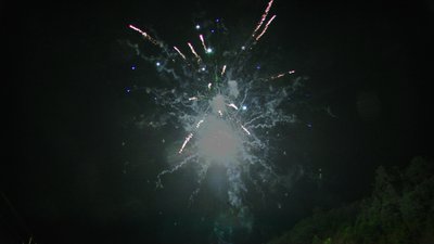 #14285 Module 盆花1.2 19发数