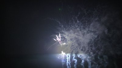 #14282 Module 盆花1.1 49发数