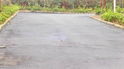 #14309 Petardos Small Hand Granade With Ring-pull