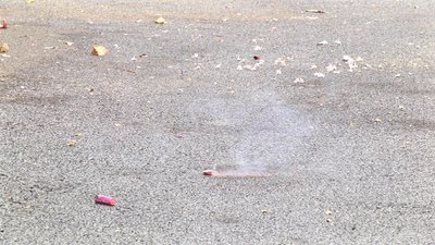 #14351 鞭炮 Color Chrysanthemum