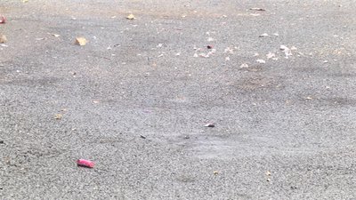 #14353 鞭炮 Small Thunder Cracker