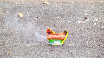 #14323 Chicken With Eggs