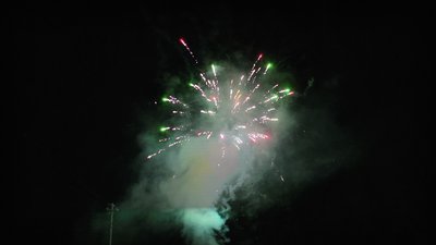 #14392 盆花0.6 100发数