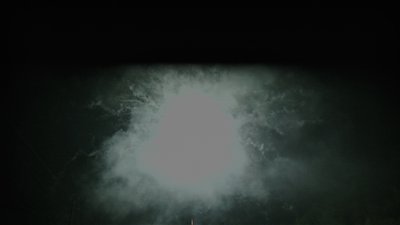 #14399 Module 盆花1.1 20发数