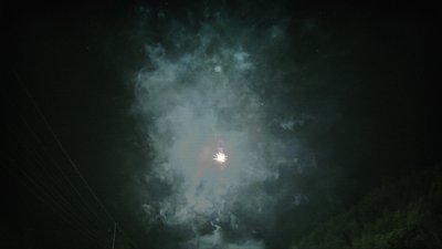 #14449 Module 盆花1.0 100发数