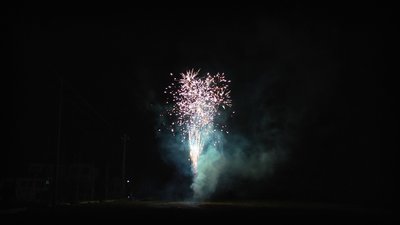 #14445 Module 盆花0.6 36发数