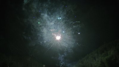 #14452 Module Cakes 1.1 48 shots