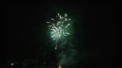 #14442 Module 盆花0.6 100发数