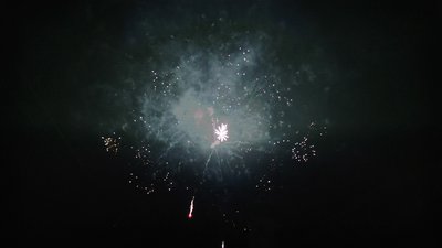 #14454 Module 盆花1.2 25发数