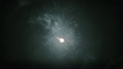 #14485 盆花1.2 19发数