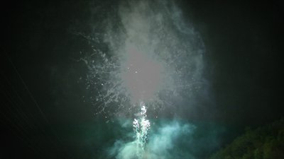 #14487 Cakes 1.2 100 shots