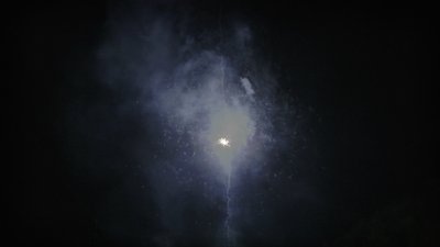 #14490 盆花0.8 64发数