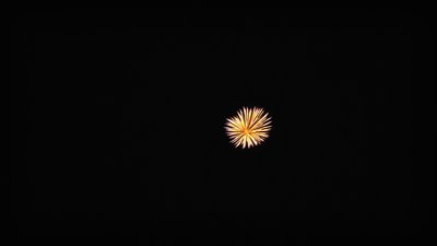 #13449 Shell 4.0"