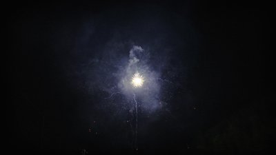 #14904 Module 盆花1.0 16发数