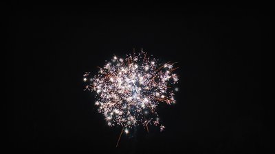 #14901 Module 盆花0.8 25发数