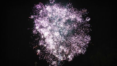 #14906 Module 盆花1.0 49发数