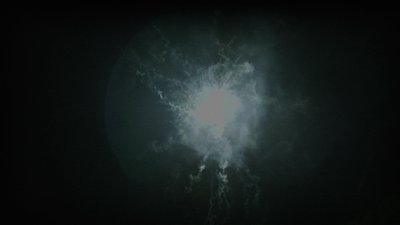 #14909 Module 盆花1.1 20发数