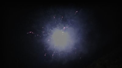 #14928 Module 盆花1.2 96发数