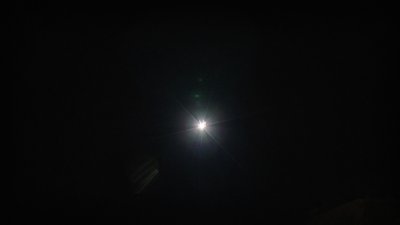 #14961 Festival shells 1.75" 6 balls