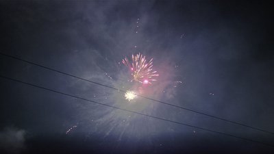 #14991 Module 盆花1.1 36发数