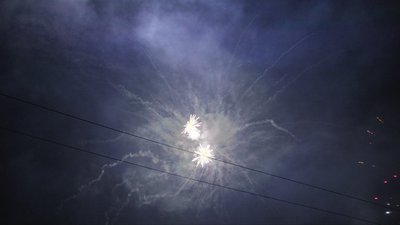 #14990 Module 盆花1.1 24发数