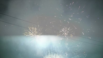 #15002 盆花0.8 100发数