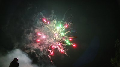 #15031 盆花1.2 13发数