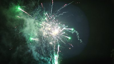 #15068 盆花1.2 100发数