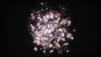 #15129 盆花1.0 25发数