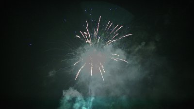 #15136 盆花1.0 49发数