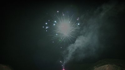 #15139 盆花1.2 19发数