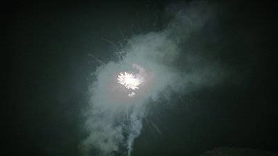 #15142 盆花1.2 36发数