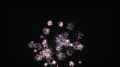 #15164 盆花1.0 36发数