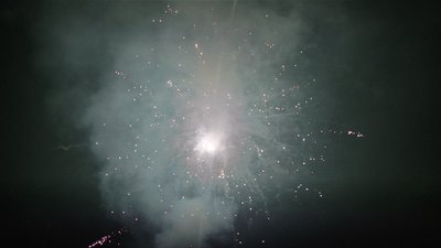 #15165 盆花1.0 100发数